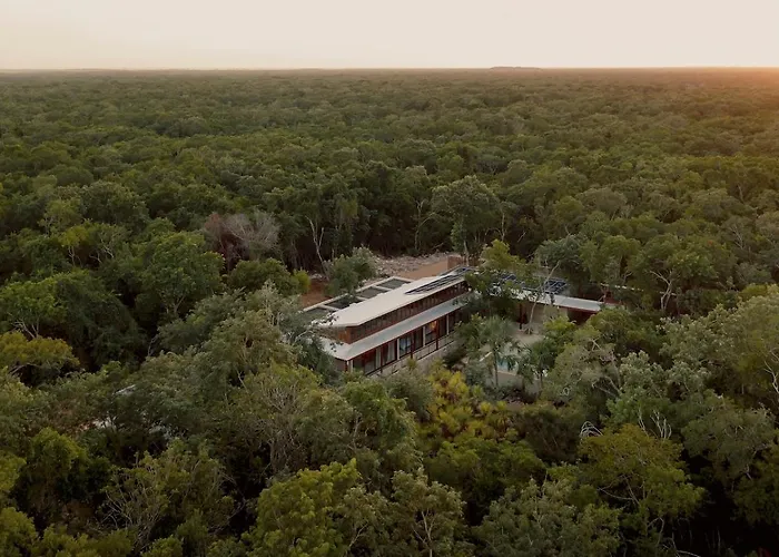 Casa Tropical 4br Pool And Enchanting Cenote *