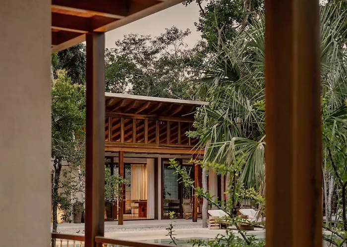 Casa Tropical 4br Pool And Enchanting Cenote